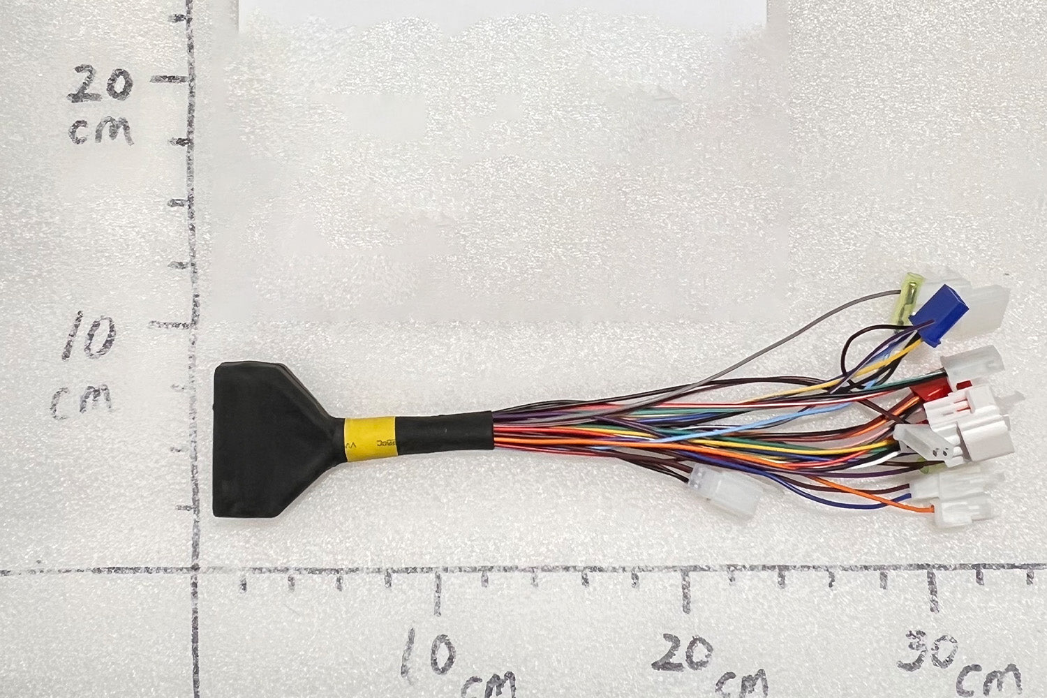 GM41129.jpg