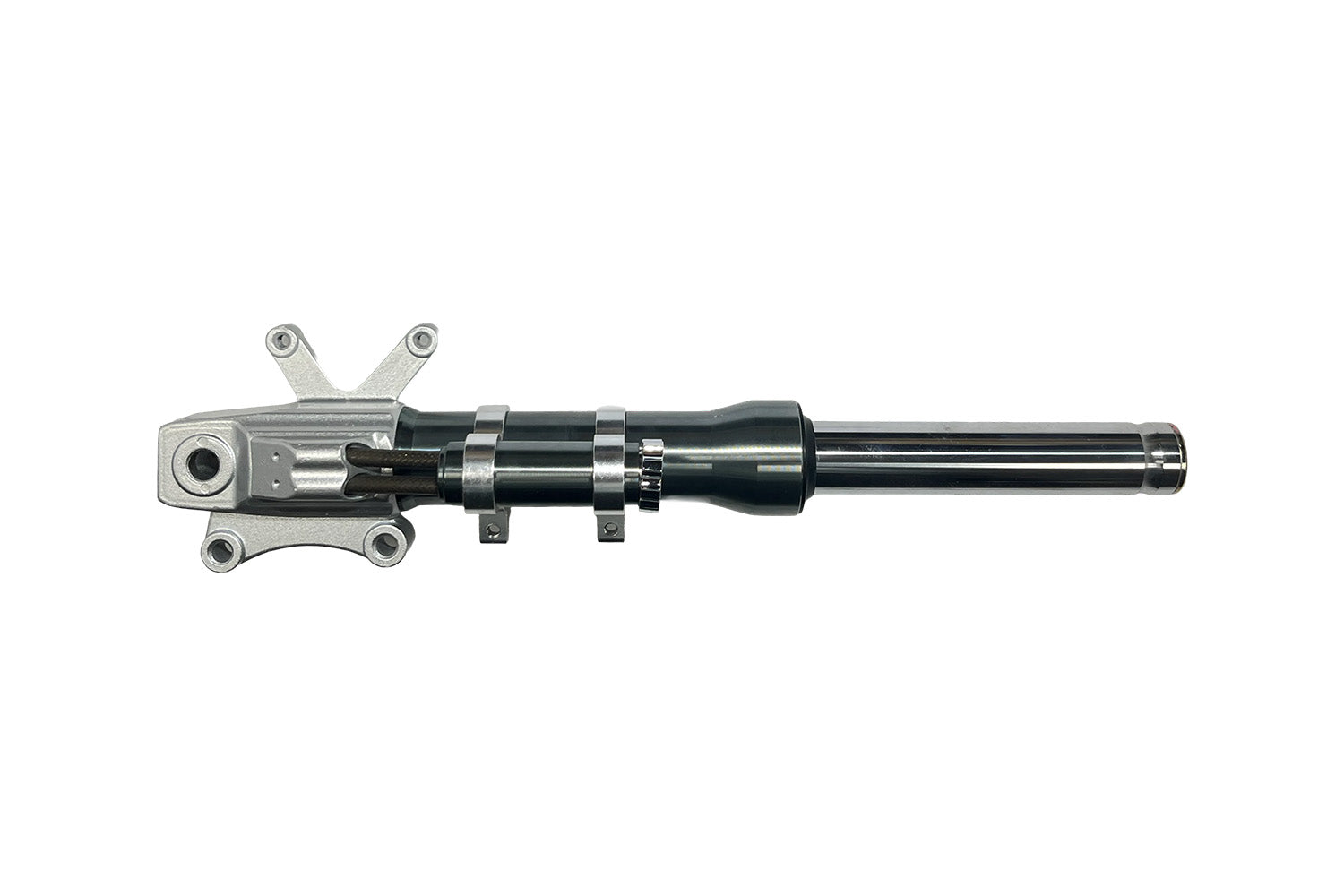 MS31039-1.jpg