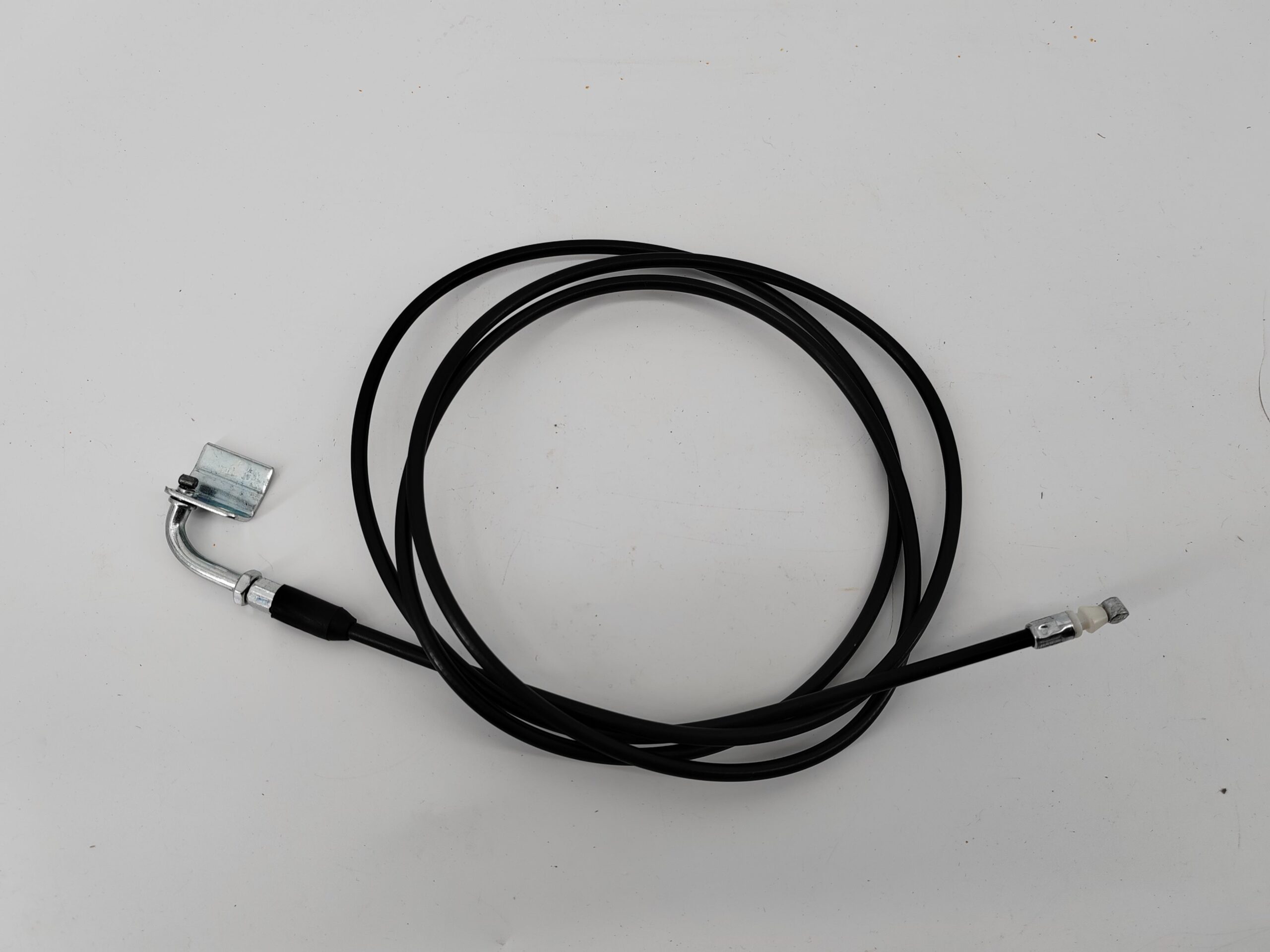 VV31025.jpg