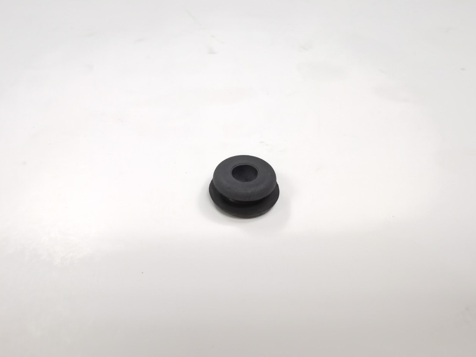 ZN22021-1.jpg